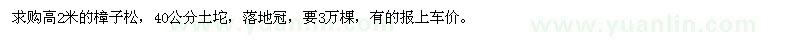求購高2米樟子松