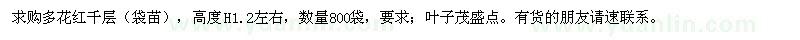 求購多花紅千層