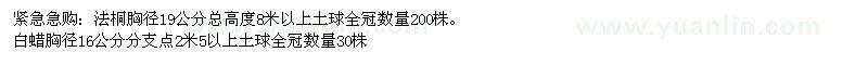 求購胸徑19公分法桐、胸徑16公分白蠟