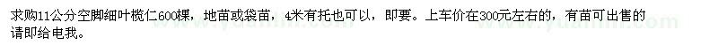 求購11公分空腳細(xì)葉欖仁