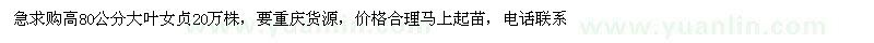 求購高80公分大葉女貞