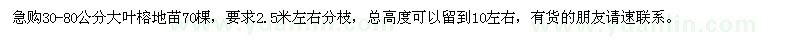 求購30-80公分大葉榕地苗