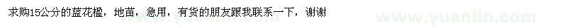 求購15公分的藍花楹