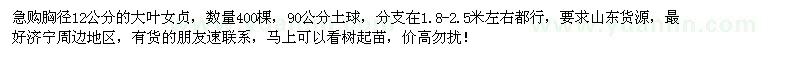 求購胸徑12公分大葉女貞