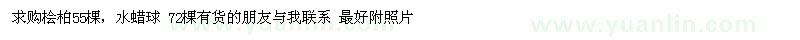 求購檜柏球、水蠟球P120