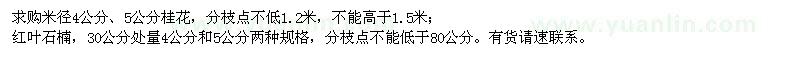 求購桂花、紅葉石楠