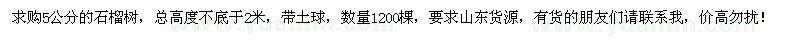 求購5公分石榴樹