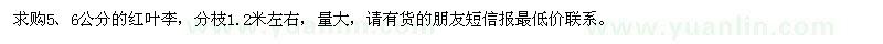 求購紅葉李