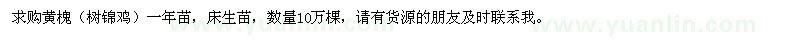 求購黃槐（樹錦雞）一年苗