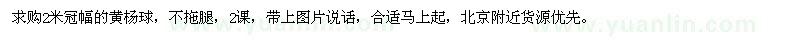 求購2米冠幅的黃楊球