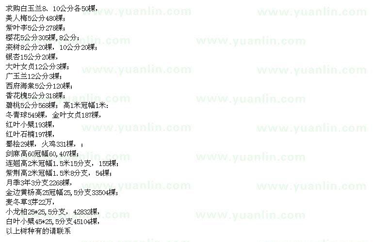求購白玉蘭、美人梅、紫葉李、櫻花、欒樹、銀杏樹、大葉女貞、廣玉蘭