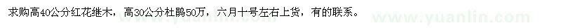 求購高40公分紅花繼木、高30公分杜鵑
