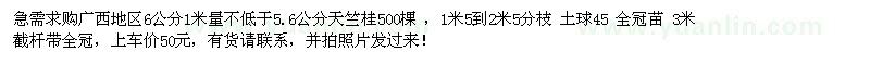 求購廣西地區(qū)6公分1米量不低于5.6公分天竺桂500棵