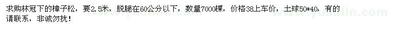 求購(gòu)2.5米林冠下樟子松 