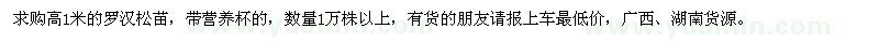 求購高1米羅漢松苗