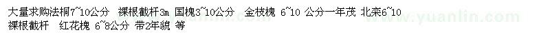 求購法桐 國槐 金枝國槐  紅花槐 北欒