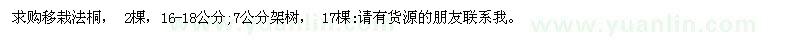 求購移栽法桐