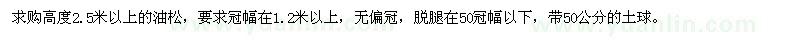 求購高度2.5米以上的油松