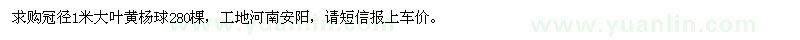 求購冠徑1米大葉黃楊球