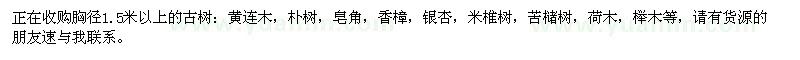 求購(gòu)胸徑1.5米以上古樹(shù)