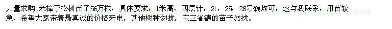 求購一米樟子松樹苗