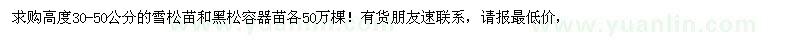 求購(gòu)高度30-50公分的雪松苗和黑松苗各50萬(wàn)棵！