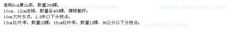 求購急黃山欒,法桐,大葉女貞,紅葉李