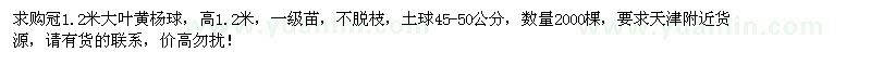 求購冠1.2米大葉黃楊球