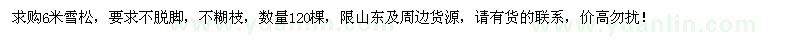 求購6米雪松