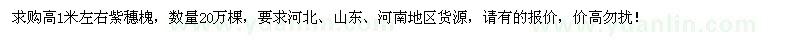 求購(gòu)高1米左右紫穗槐