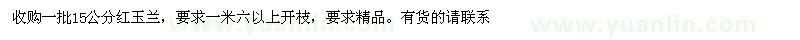 求購紅玉蘭