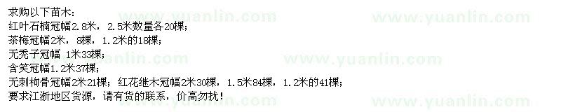 求購紅葉石楠、無禿子、含笑、無刺枸骨