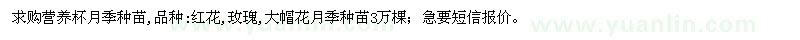 求購(gòu)營(yíng)養(yǎng)杯月季種苗3萬(wàn)棵