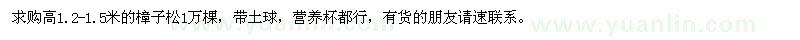 求購(gòu)高1.2-1.5米的樟子松