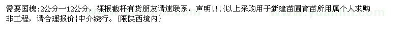 求購國槐