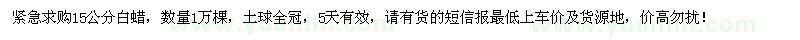求購(gòu)15公分白蠟1萬(wàn)棵