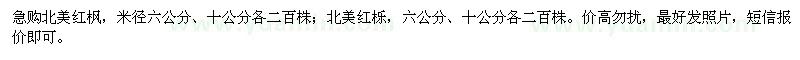 求購急北美紅楓