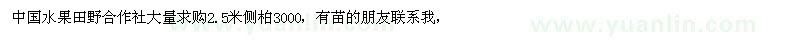 求購2.5米側柏3000棵