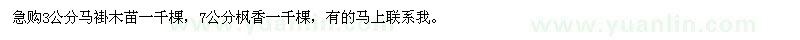 求購3公分馬褂木苗一千棵