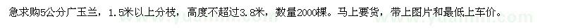 求購5公分廣玉蘭
