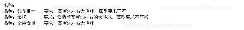 求購紅花繼木,海桐,金森女貞,青珊瑚,夾竹桃