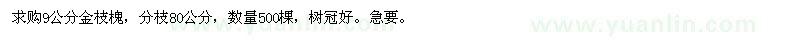 求購9公分金枝槐