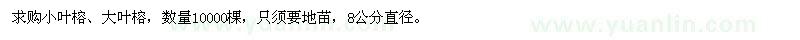 求購小葉榕,大葉榕