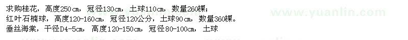 求購桂花,紅葉石楠球,垂絲海棠,紫葉李等