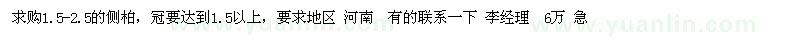 求購1.5-2.5的側柏,冠要達到1,5以上