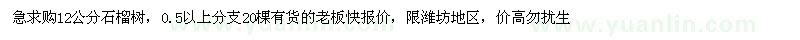 求購12公分石榴樹