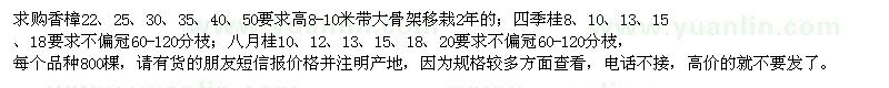求購(gòu)香樟、四季桂、八月桂
