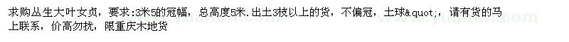 求購叢生大葉女貞
