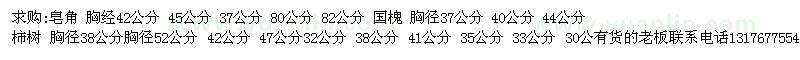 求購(gòu)國(guó)槐、皂角、柿樹、
