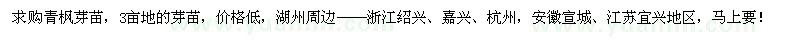 求購(gòu)青楓芽苗